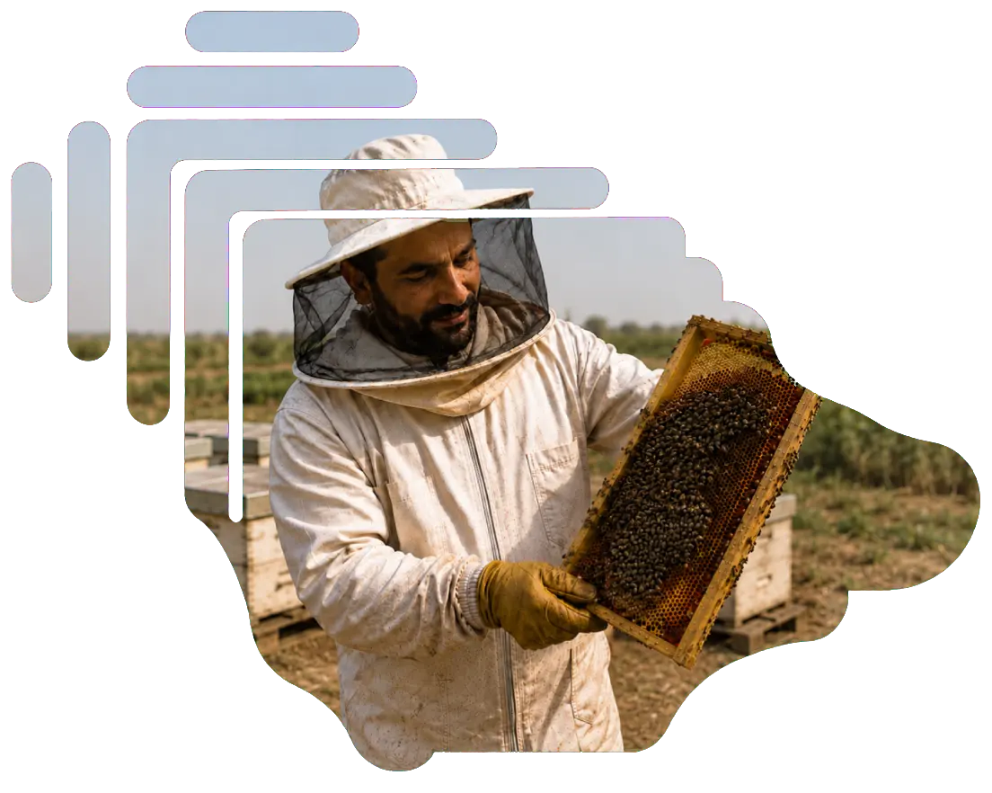 نحّال يحمل إطار خلايا النحل