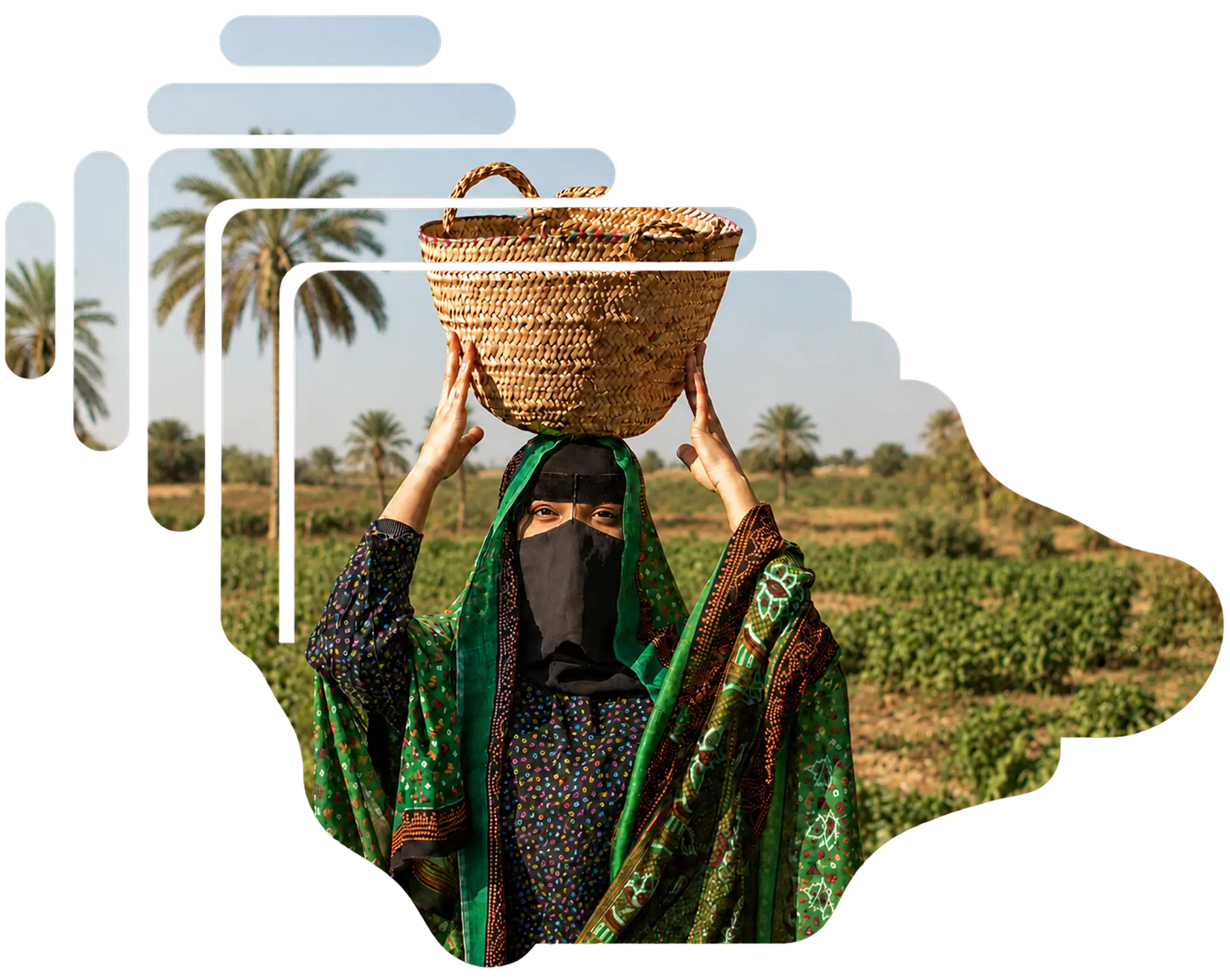 مزارعة تحمل سلة في الحقل